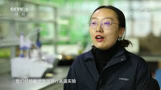 《生活提示》 20191214 不粘锅 您用对了吗？| CCTV