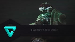 Skyrim Mods - TMNT Update v07 New Jump Animations, Unarmed Deathblows, New Fighting Moves