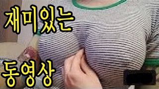 2017 #3 ? 세계에서 가장 재미있는 동영상 웃긴 동영상 ? 재미있는 동영상  웃긴 영상 재미있는 영상 Try Not To Laugh [Mr Optand]