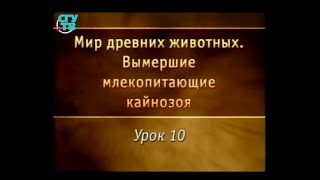 Урок 10. Древние парнокопытные