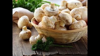 Những thực phẩm dinh dưỡng ít calo bạn có thể dùng mỗi ngày - SỨC KHỎE VÀ ĐỜI   SỐNG