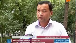 В ЮКО зафиксирована конго-крымская геморрагическая лихорадка