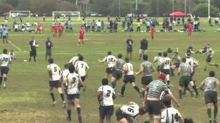 Yale B vs  Dartmouth B