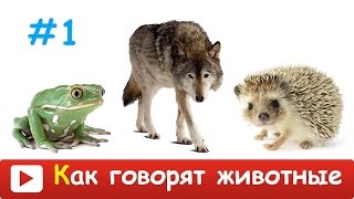 ►КАК ГОВОРЯТ ЖИВОТНЫЕ для ДЕТЕЙ. Развивающий МУЛЬТИК для САМЫХ МАЛЕНЬКИХ. УЧИМ Звуки голоса животных