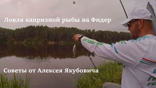 Ловля капризной рыбы на фидер. Советы от Алексея Якубовича
