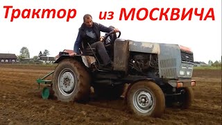 Самодельный трактор с двигателем "Москвич" в работе. Посадка картофеля в борозды.