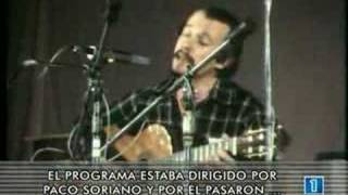 LA TELE DE TU VIDA - Popgrama (1977-1981)