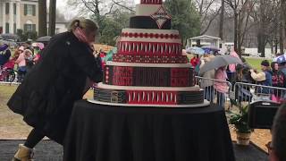 Elvis Presley Birthday Proclamation January 8 2018 Graceland The Spa Guy