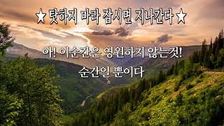 #탓하지 마라 잠시면 지나간다