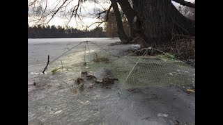 ЛОВЛЯ РАКОВ НА УНИВЕРСАЛЬНУЮ РАКОЛОВКУ В КОНЦЕ ЗИМЫ.