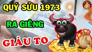 Cả Làng Đến Chúc Mừng Tuổi Quý Sửu 1973 Giàu Có Đổi Đời, TIền Nhét Nứt Két Tháng 1 ÂL