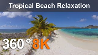 Caribbean Paradise. Tropical Beach Relaxation. 360 video in 8K