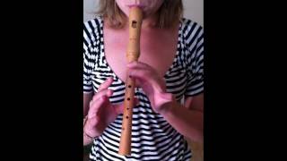 Cómo tocar Love me tender con la flauta dulce