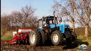 Мтз 1221.2 тропик и Cansa C-600 начинает сеять подсолнечьника