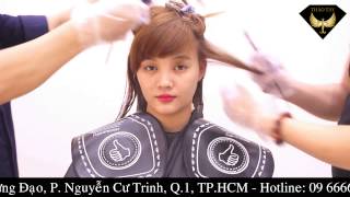 [Nối tóc Thảo Tây] Hướng dẫn nhuộm highlight tím xanh kết hợp rêu