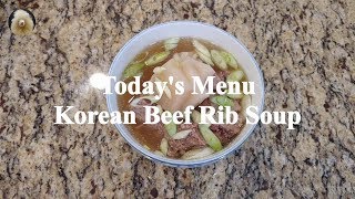 Instant Pot  Korean Beef Rib Soup
