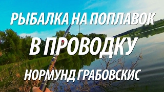 ЛОВЛЯ В ПРОВОДКУ МИРНОЙ РЫБЫ. ЛЕТНЯЯ РЫБАЛКА НА ПОПЛАВОЧНУЮ УДОЧКУ С НОРМУНДОМ ГРАБОВСКИСОМ