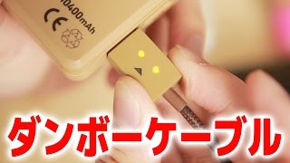 見た目のインパクトだけじゃない。質の高いケーブル。ダンボーケーブル DANBOARD USB Cable