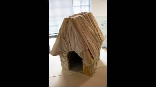 How to build a dog house step by step