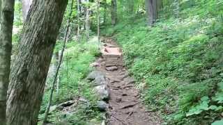 A Journey up the Profile Trail