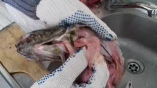 А ты знаешь? Как чистить налима!!!