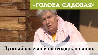 Голова садовая - Лунный посевной календарь на июнь