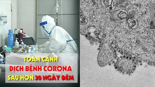 Toàn cảnh dịch bệnh corona sau hơn 30 ngày đêm - PLO