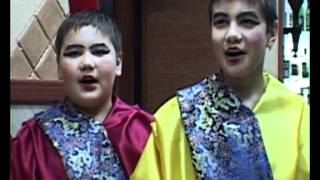 Бальзам Тибетская звезда.avi Домашняя аптечка