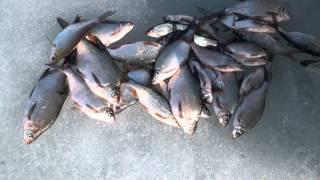 Зимняя рыбалка на Минском море/Winter Fishing at Minsk Sea