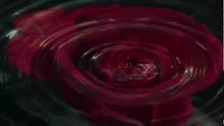 An-Ten-Nae Ft. Alice.D - Raindrops On Roses (HD)