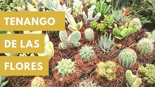 Visitando Tenango de las Flores, Puebla