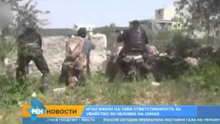 Детям не показывать! Сирийские повстанцы казнили 13 боевиков ИГИЛ