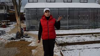 Что делать в саду, огороде и цветнике в декабре