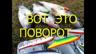 Коза, ратлин, или дропшот ВЫБИРАЙ, Ловля пассивного судака на козу, Рыбалка 2020, Судак