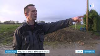 Perturbations electriques un eleveur denonce un scandale sanitaire et attaque en justice