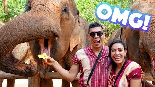 SPENDING THE DAY WITH ELEPHANTS!