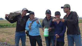 NHỮNG PHA BẮT CHUỘT NHƯ PHIM HÀNH ĐỘNG CỦA NHÓM 2 LÚA - TT589