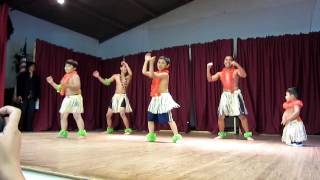 Mom's 60th birthday dance from the boys