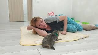 25 января, меню надень, зарядка, и котята, Шаповаловы
