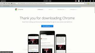 Install Google Chrome in Elementary OS.