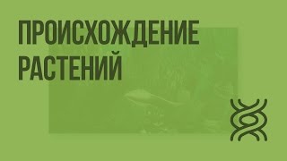 Происхождение растений. Основные этапы развития растительного мира. Видеоурок по биологии 5 класс