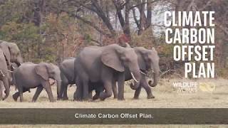 Fondo Theam Quant Europe Climate Carbon Offset Plan