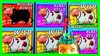 BRENT GETS A SUPER BIG WIN!! PLANET MOOLAH (MAX BET!!!)  Slot Machine Bonus Win Videos