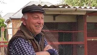 В гостях у дяди Миши, ЧАСТЬ 2. Разговоры о Бакинских голубях.
