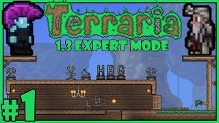 Let's Play Terraria 1.3 Expert Mode - Multiplayer Gameplay - Part 1 - The First Day
