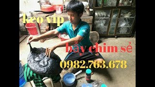 Keo bẫy chim sẻ chất lượng giá rẻ.ship cod toàn quốc.lh 0982763678