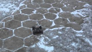 HPI Mini Recon - Reckless Drive [3100kV Brushless]