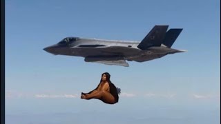 1 minute and 5 seconds of LIZZO MEMES