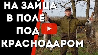 Охота на Зайца 2018 \\ Охота на зайца в Краснодарском крае