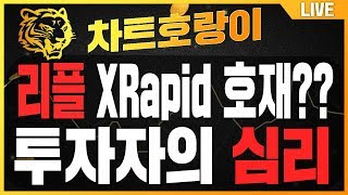 리플 xrapid 호재 비트코인 차트분석 극현실 매매법